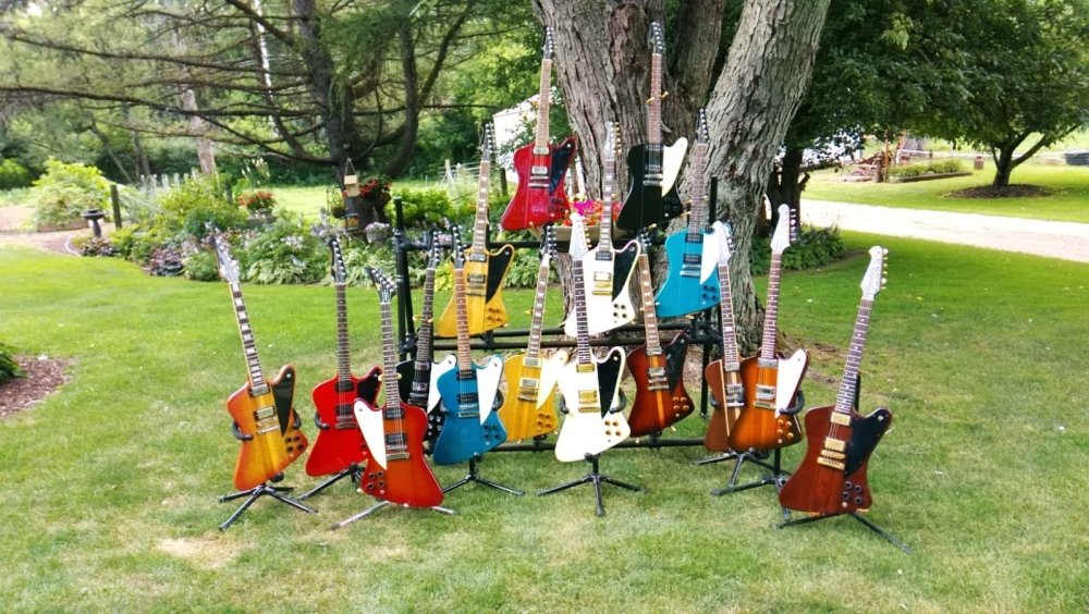 Flock o' MarvBirds.jpg