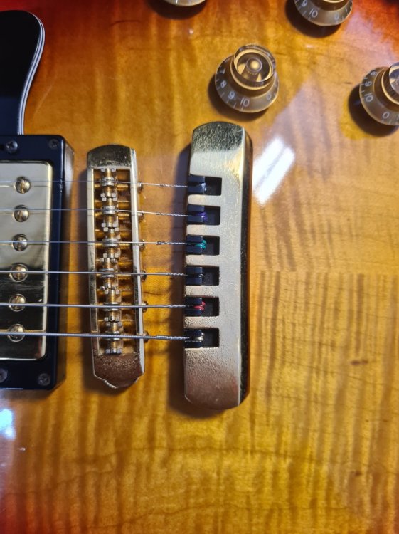 bridge and tailpiece.jpg